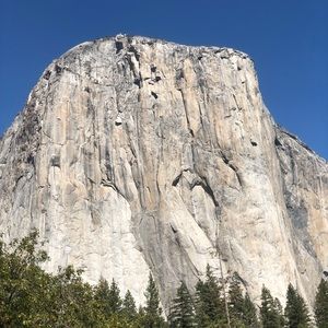 Meet your Posher, Dominic